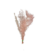 Sample bunches