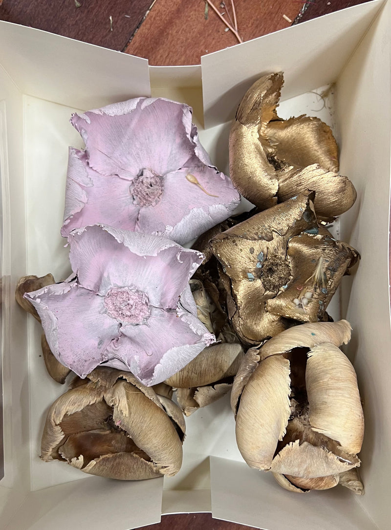 Sample bunches