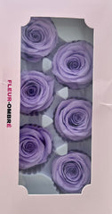 Rose Heads