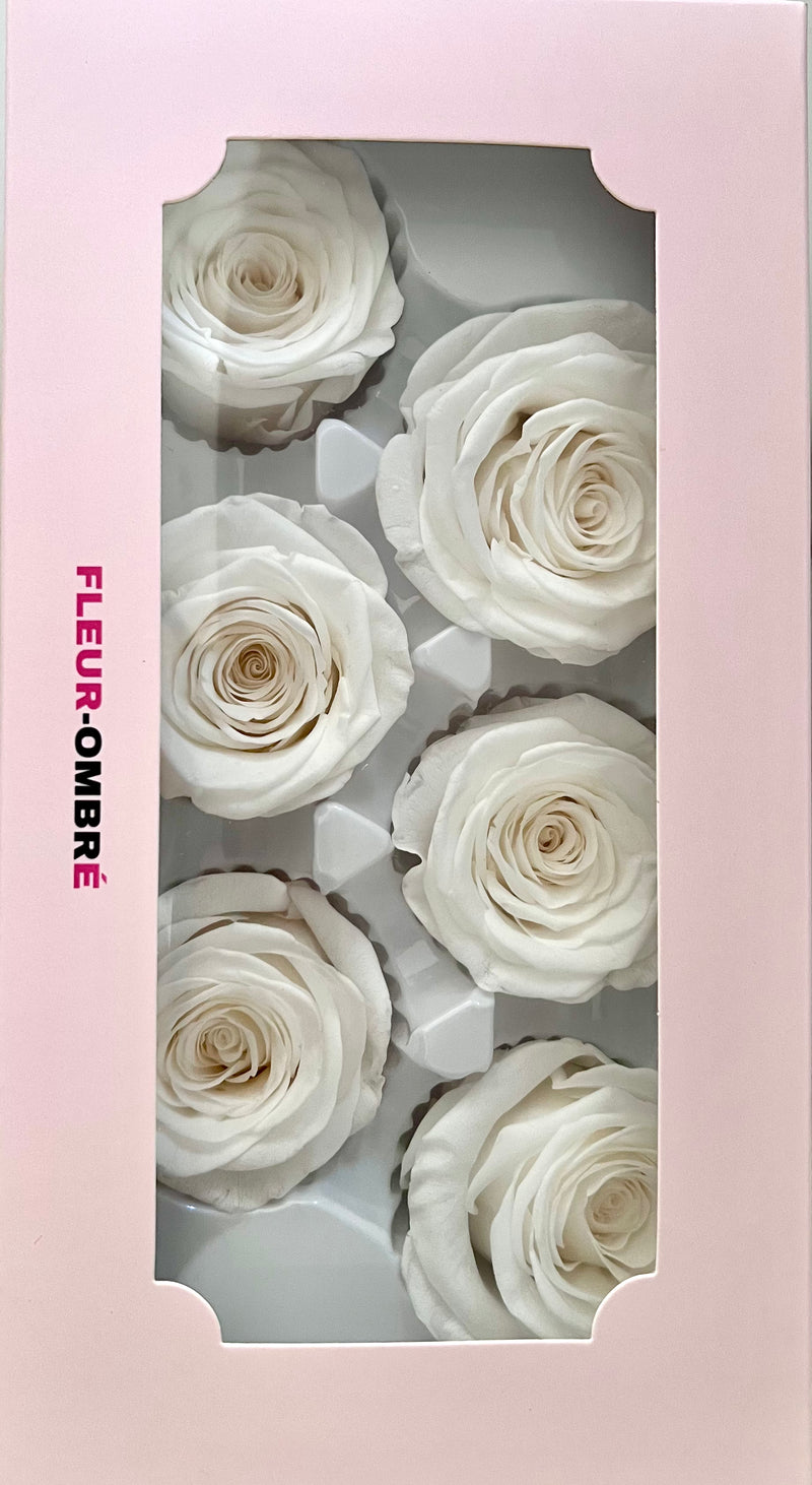 Rose Heads