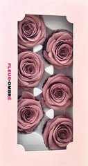 Rose Heads