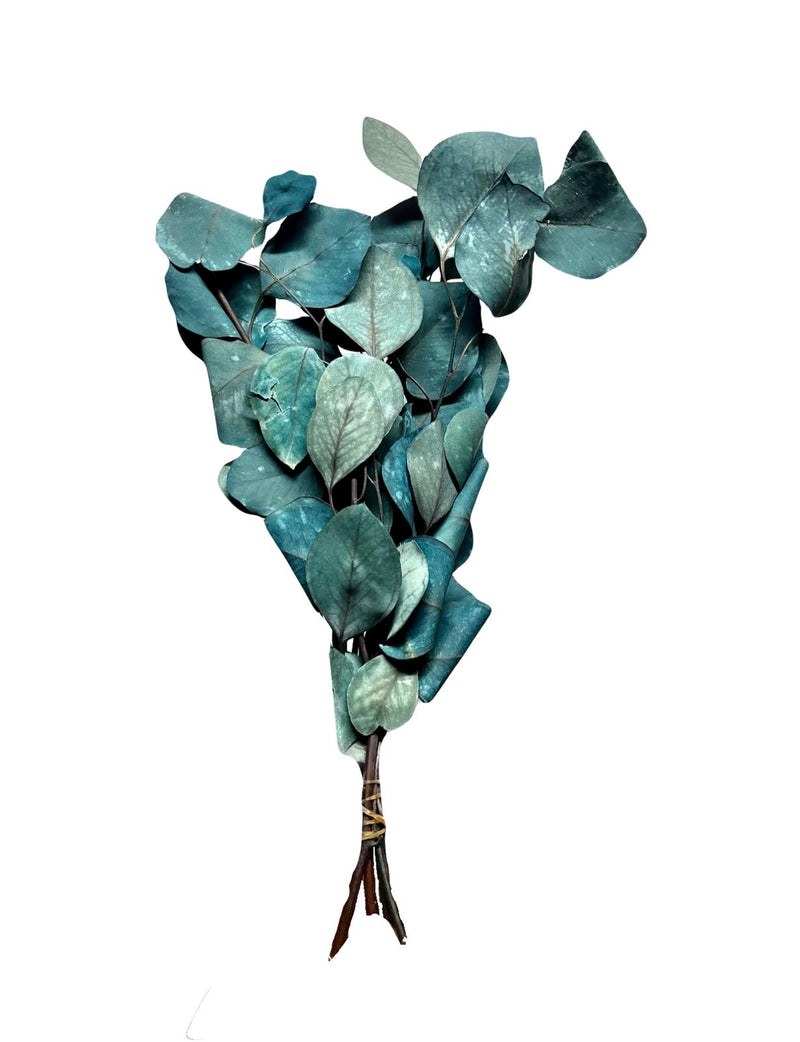 Sample bunches