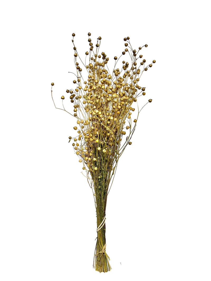 Flax