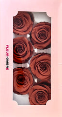 Rose Heads