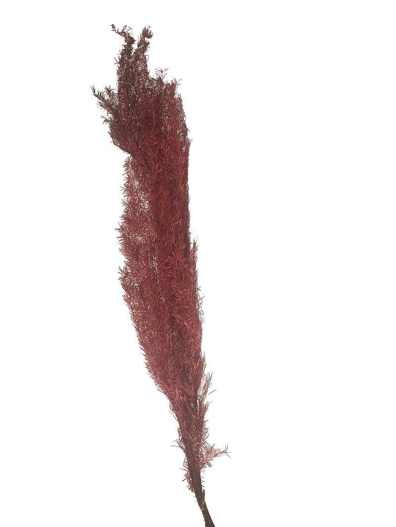 Fox Tail