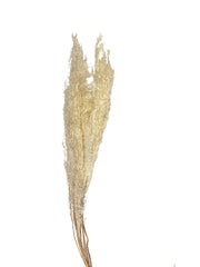 Fox Tail