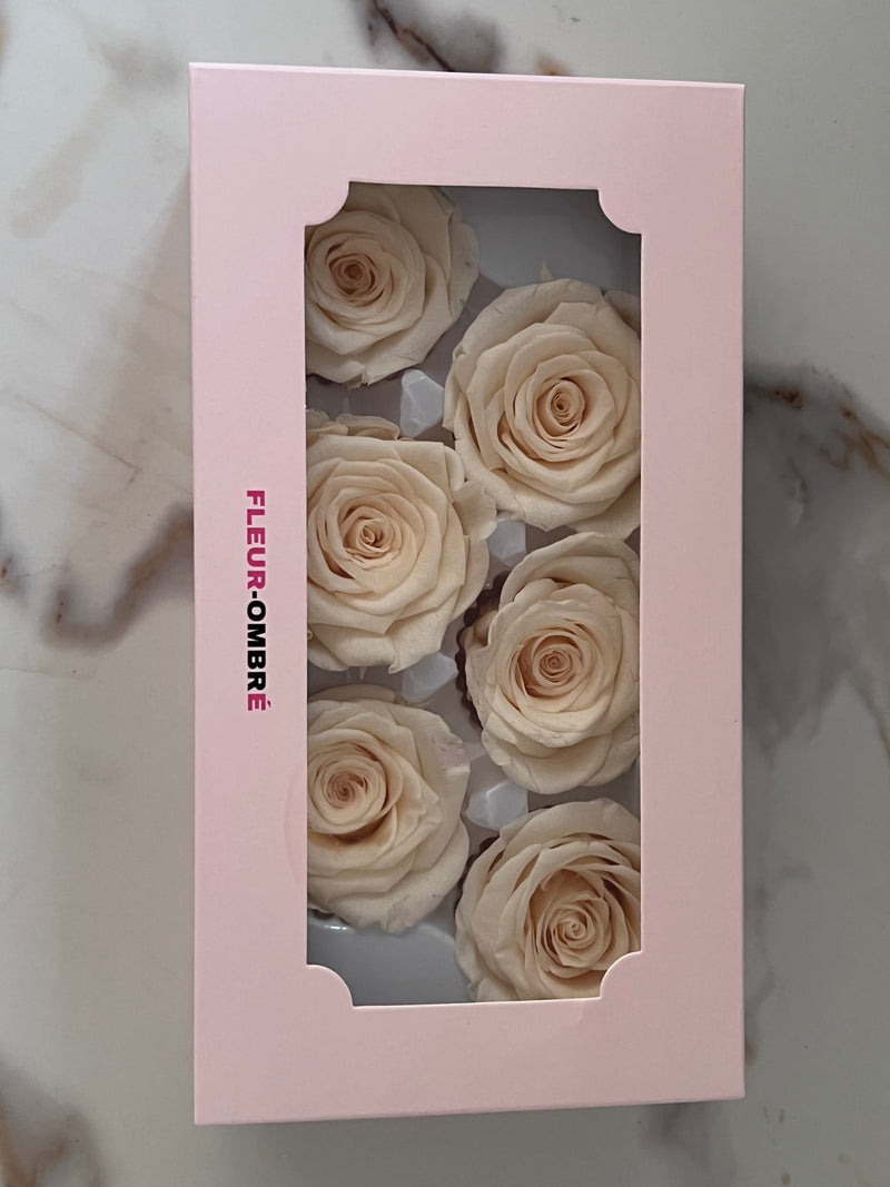 Rose Heads