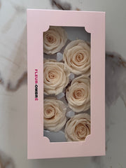 Rose Heads