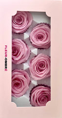 Rose Heads
