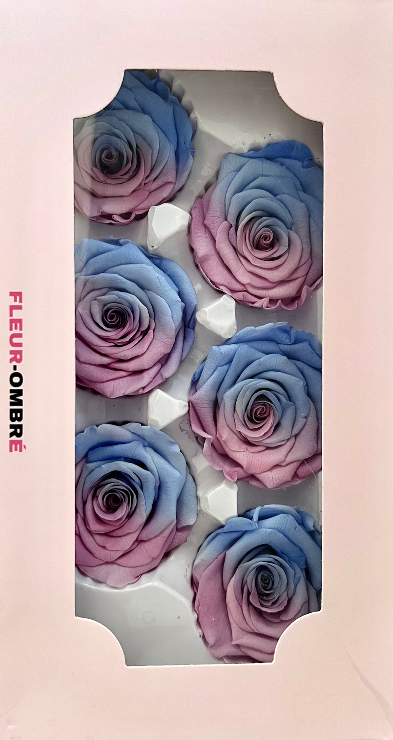 Bi-Colour Rainbow Rose Heads