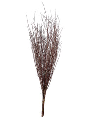 Spirea