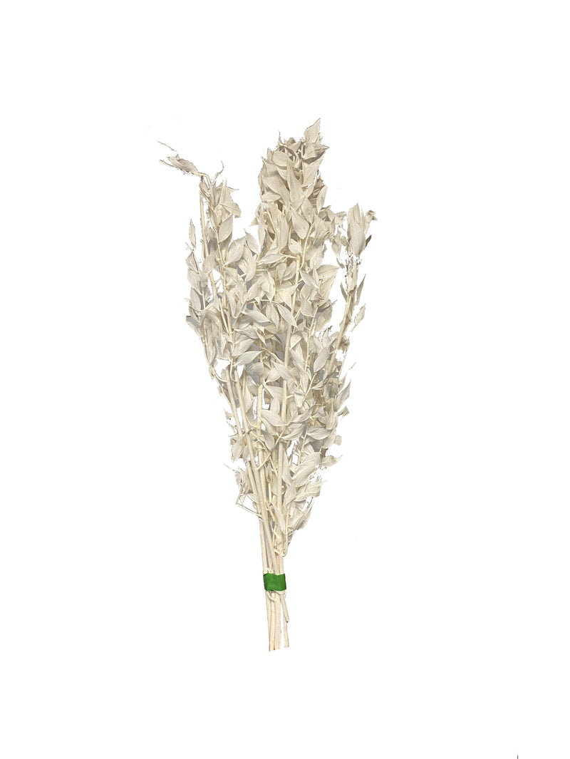 Sample bunches