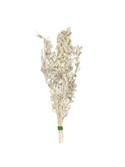 Sample bunches