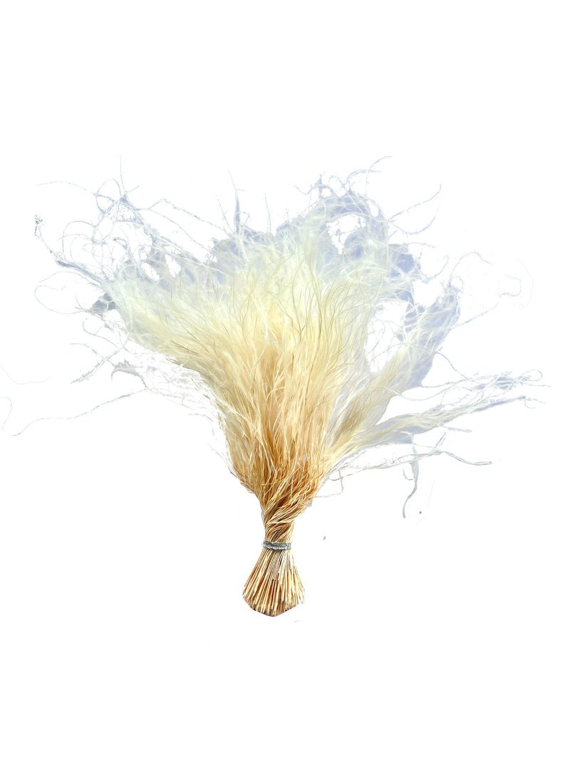 Feather Grass