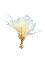 Feather Grass