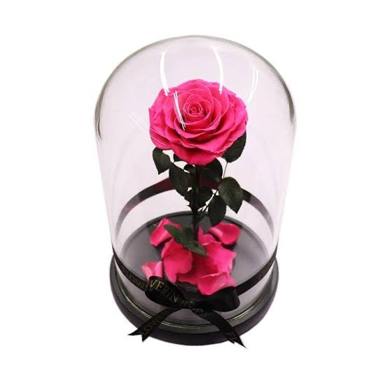Rose Domes