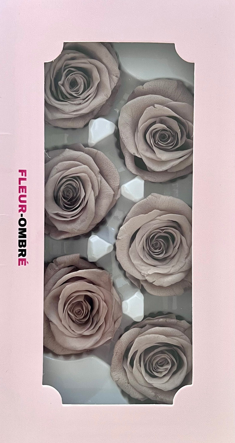 Rose Heads