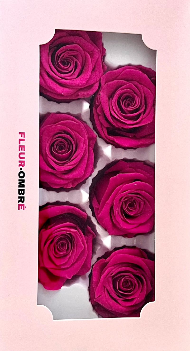 Rose Heads