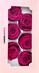 Rose Heads