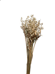 Wheat