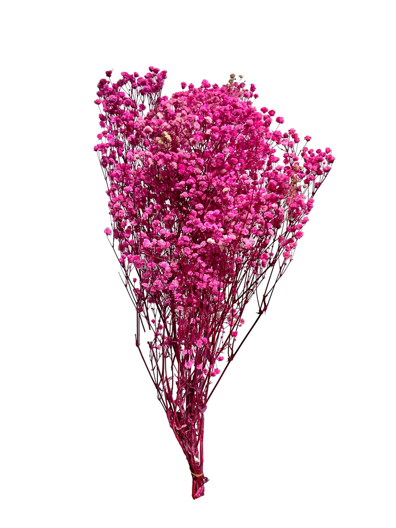 Baby's Breath