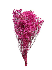 Baby's Breath