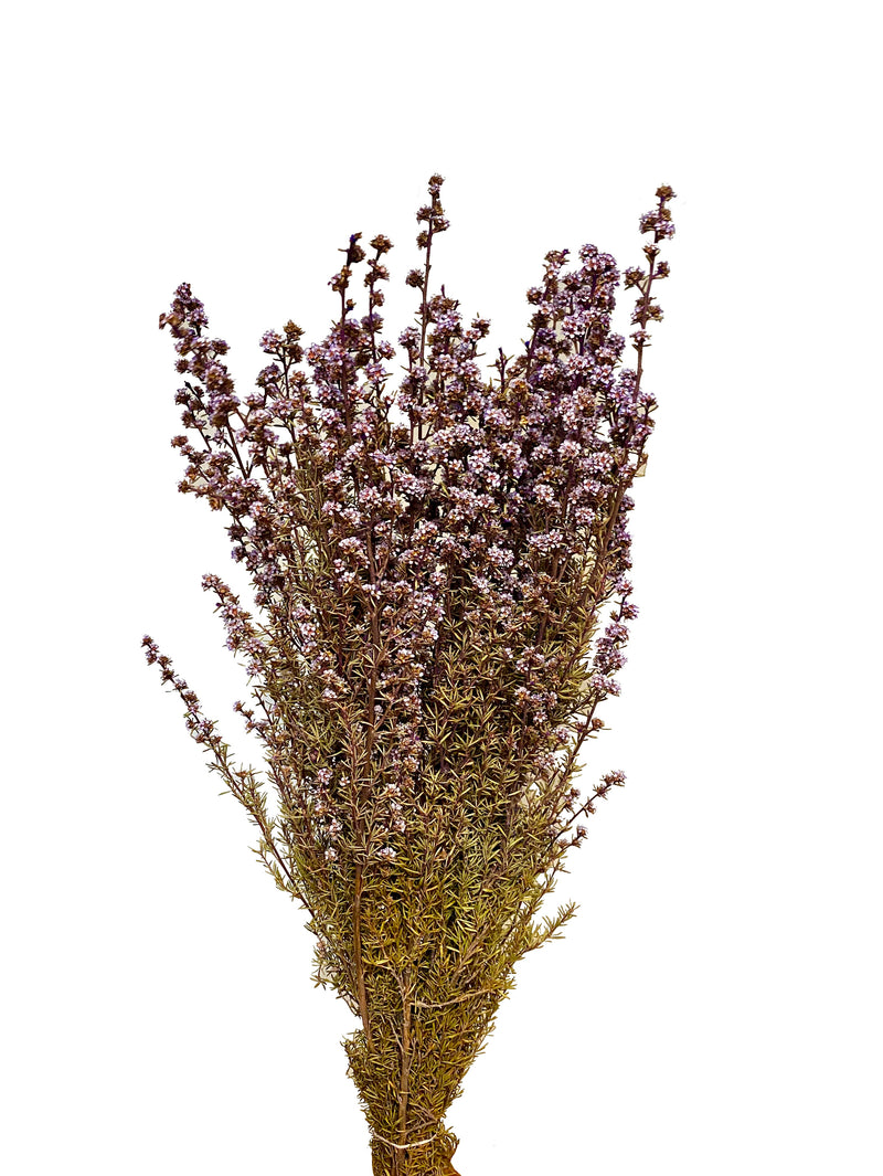 Tea Tree