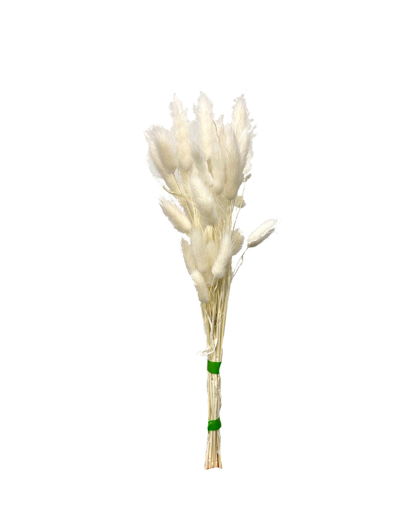 Sample bunches