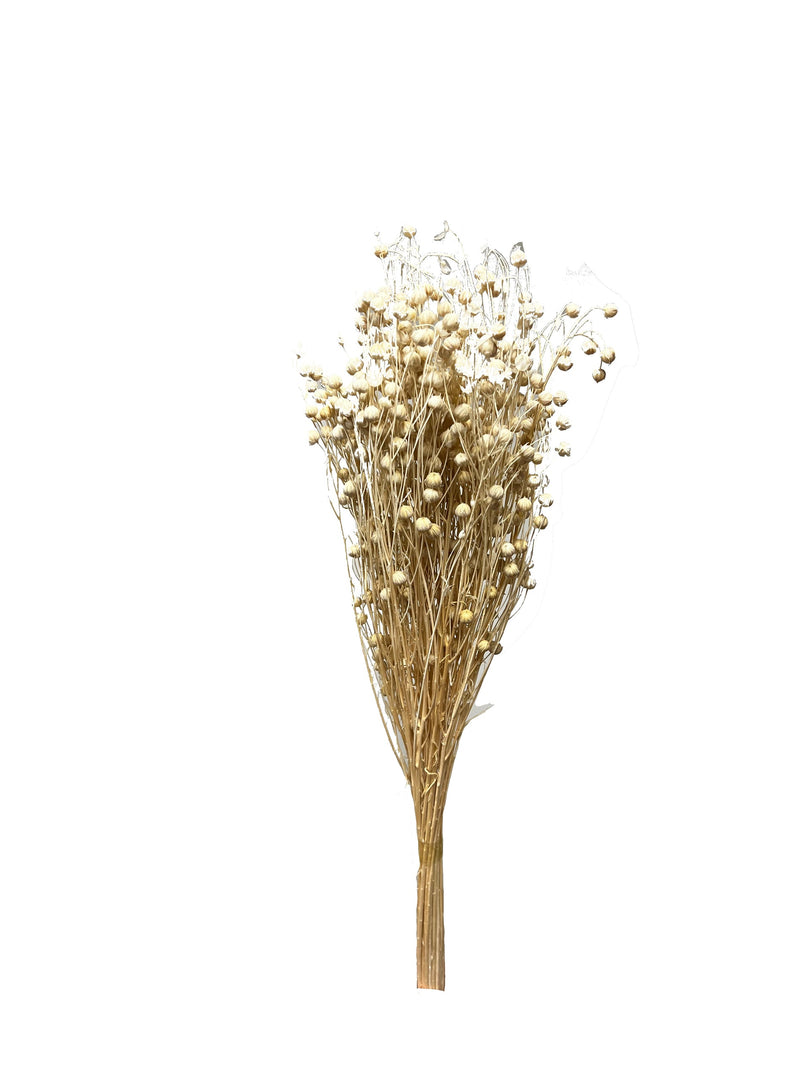 Flax