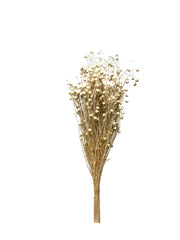 Flax