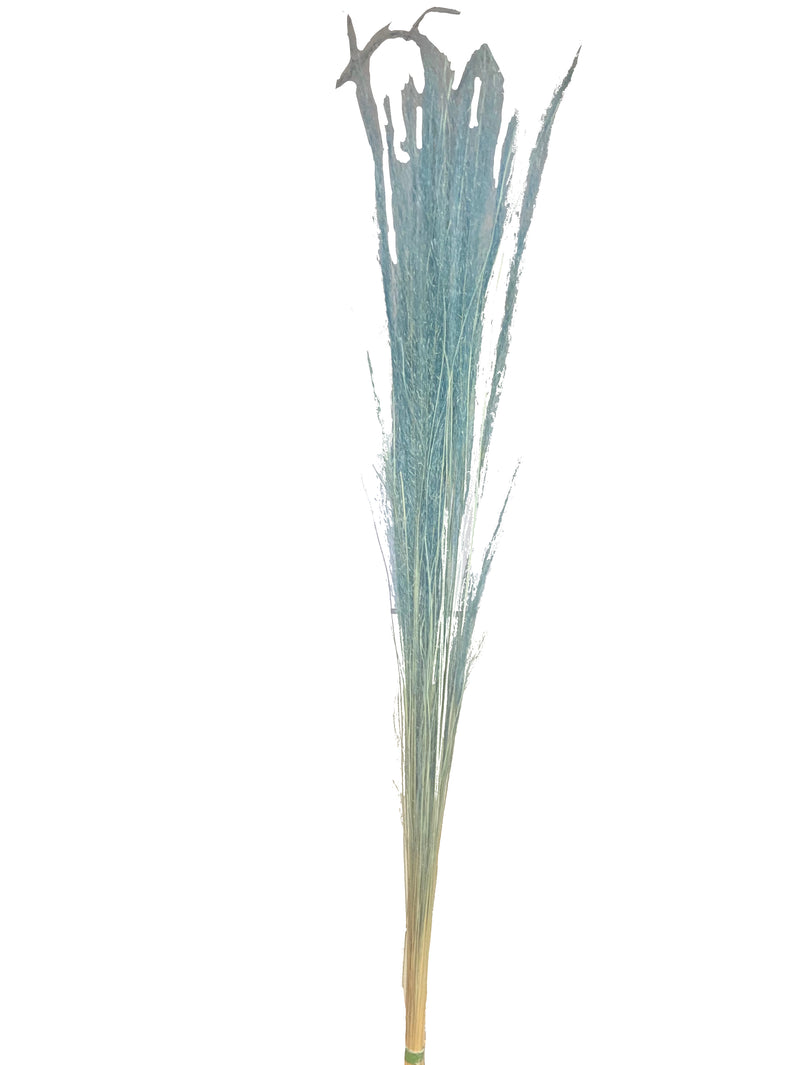 Mulhy Grass