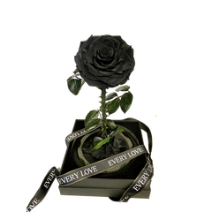 Rose Domes