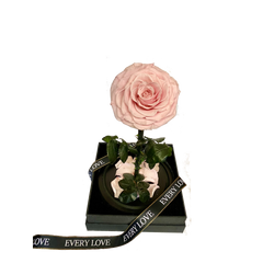 Rose Domes
