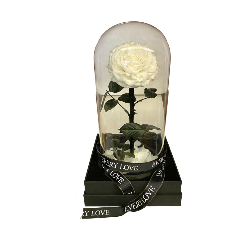 Rose Domes