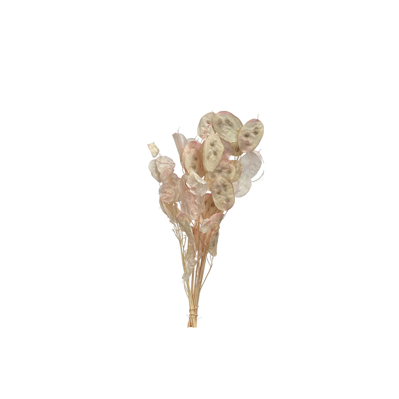 Sample bunches