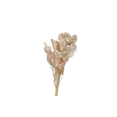 Sample bunches