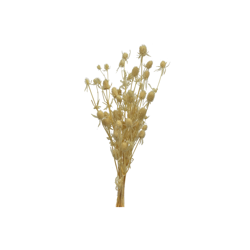 Sample bunches