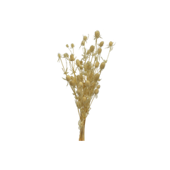 Sample bunches