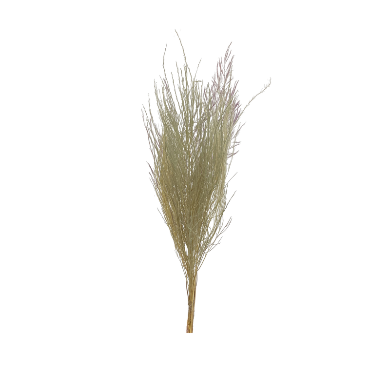 Sample bunches