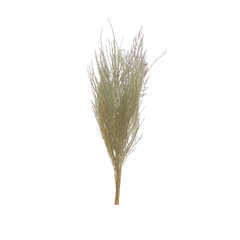Sample bunches